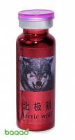 Arctic Wolf