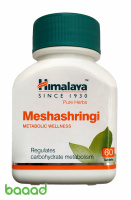 Meshashringi