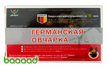 Германская овчарка
